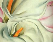 Two Calla Lillies on Pink - 乔治亚·奥基夫